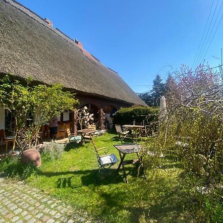 Fischerhaus Galenbeck Bed and Breakfast Exterior foto